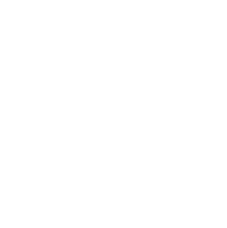 BUSINESS SCHOOL NETHERLANDS